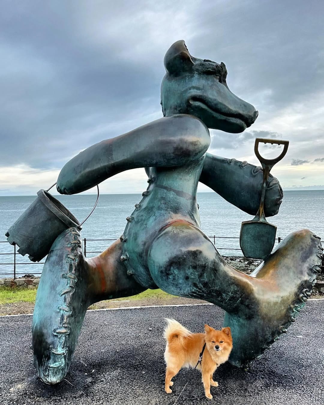 Post 6 by Gizmo The Pomchi on Instagram (image)