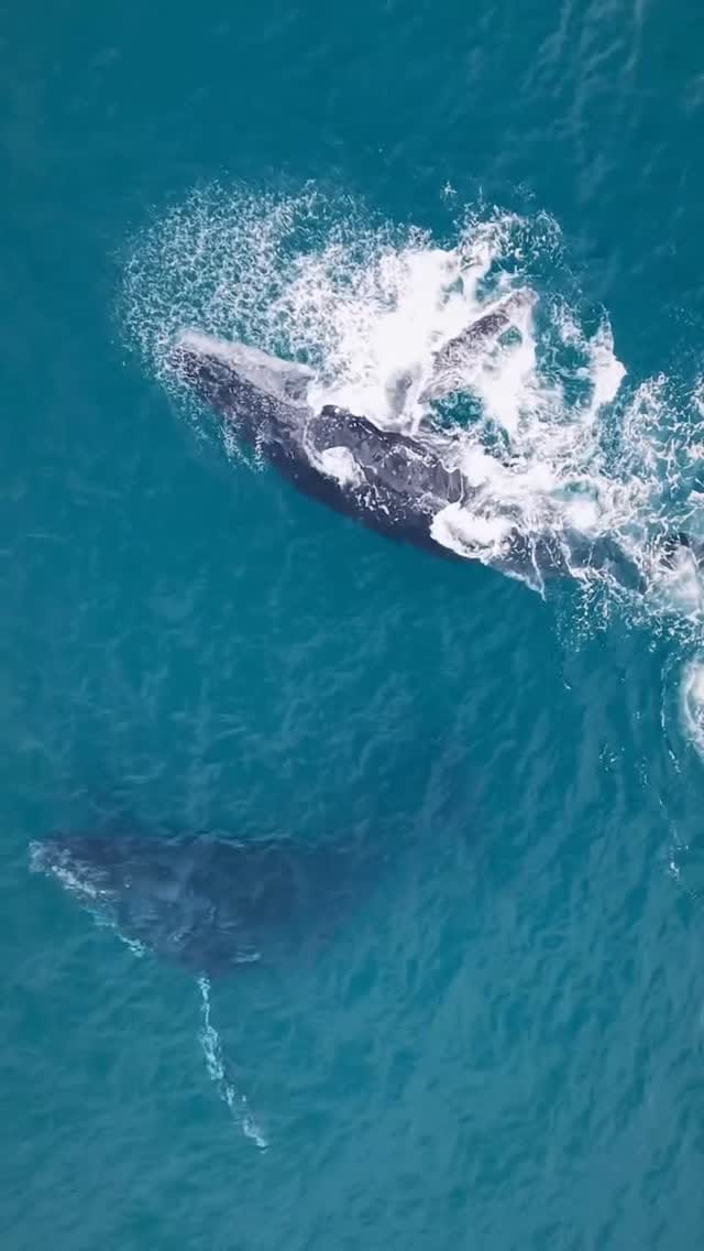 Post 5 by driftlab on Instagram (video)