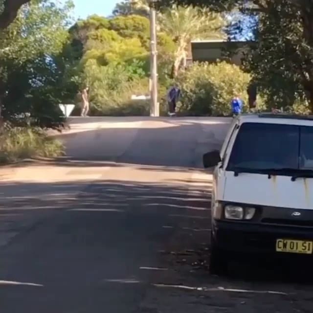 Post 10 by FKN NEWY on Instagram (video)