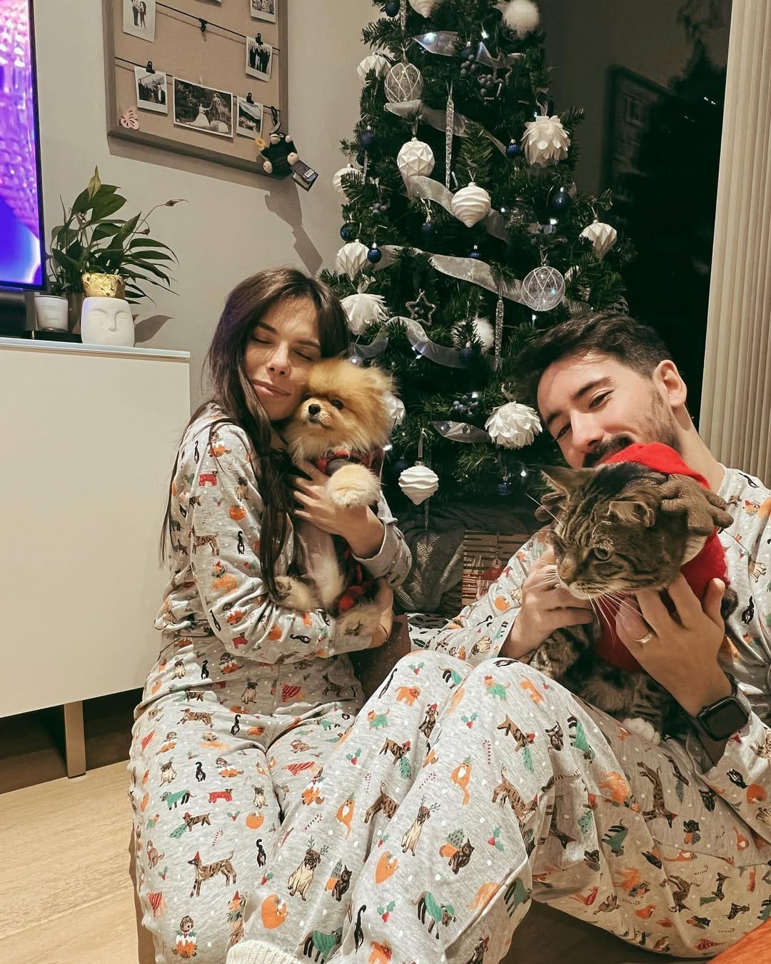 Post 2 by Luna The Pom Dumpling on Instagram (image)