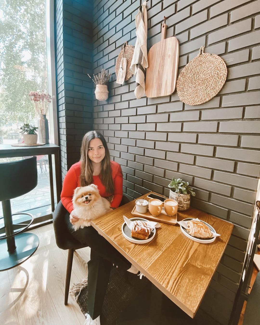 Post 9 by Luna The Pom Dumpling on Instagram (image)