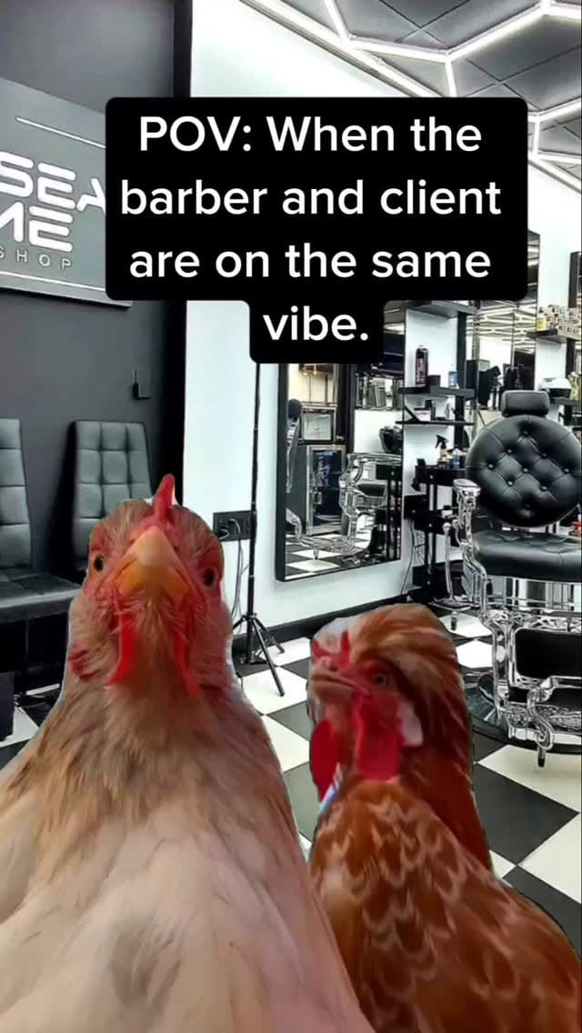 Post 6 by Excellent barbers on Instagram (video)