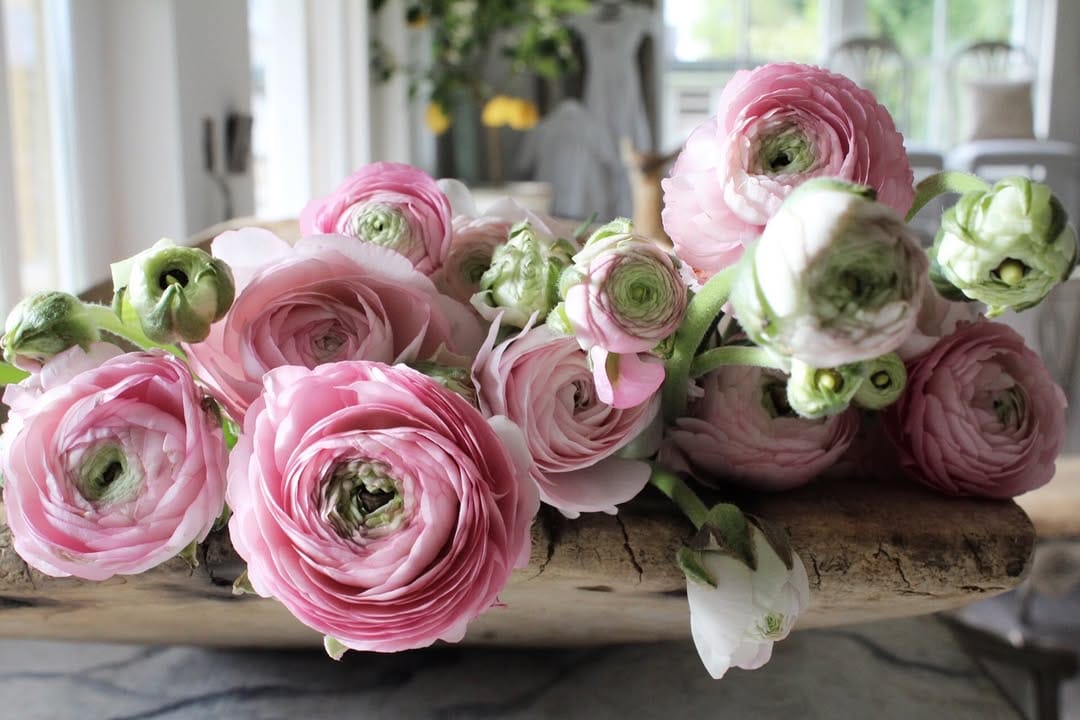 Post 7 by Hanna Stenvall on Instagram (image)