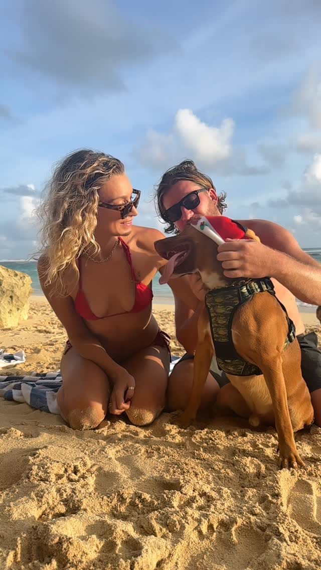 Post 2 by A R I A N A on Instagram (video)