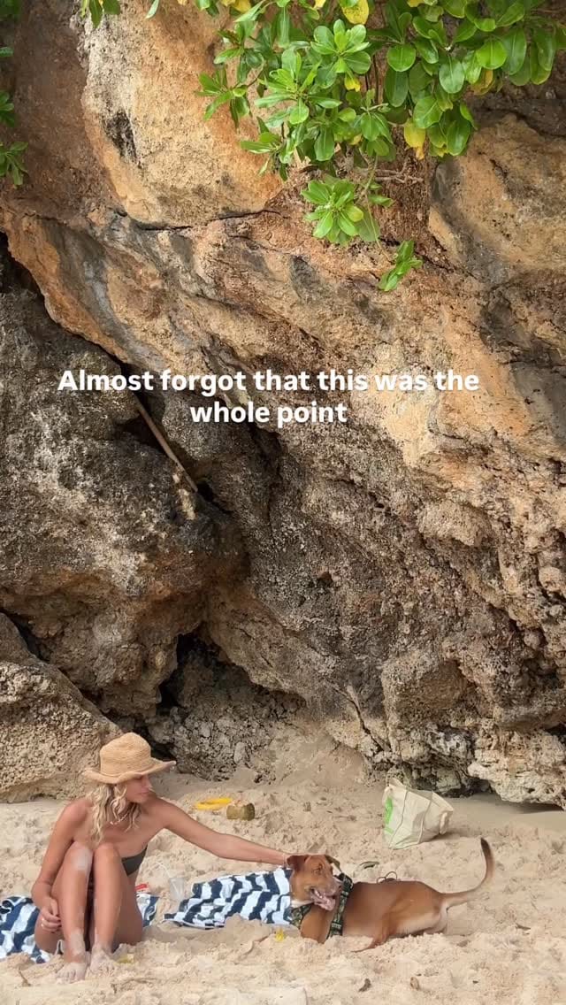 Post 4 by A R I A N A on Instagram (video)