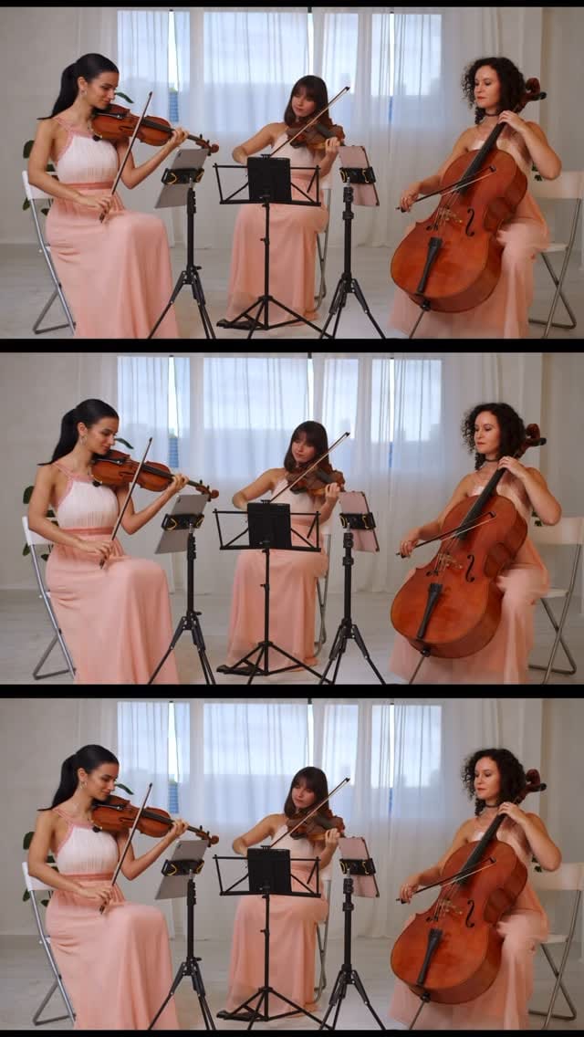 Post 2 by Flash Studios on Instagram (video)