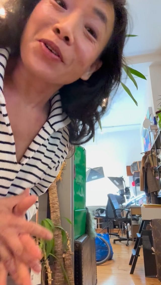 Post 2 by Siopaella on Instagram (video)