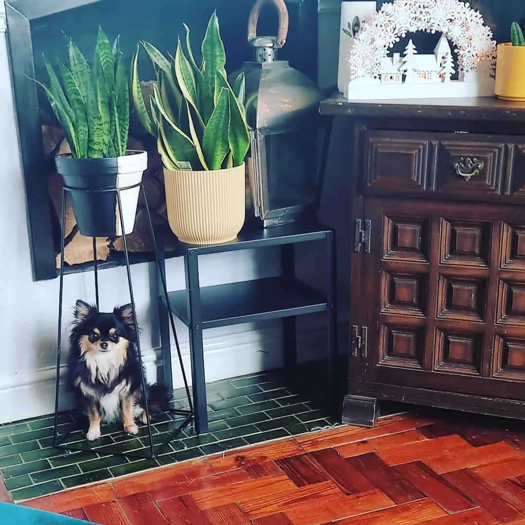 Post 1 by Stitch❤Finn on Instagram (image)