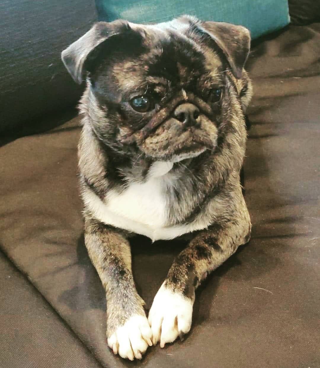 Post 9 by Stitch❤Finn on Instagram (image)
