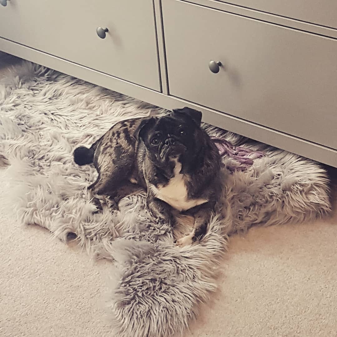 Post 10 by Stitch❤Finn on Instagram (image)