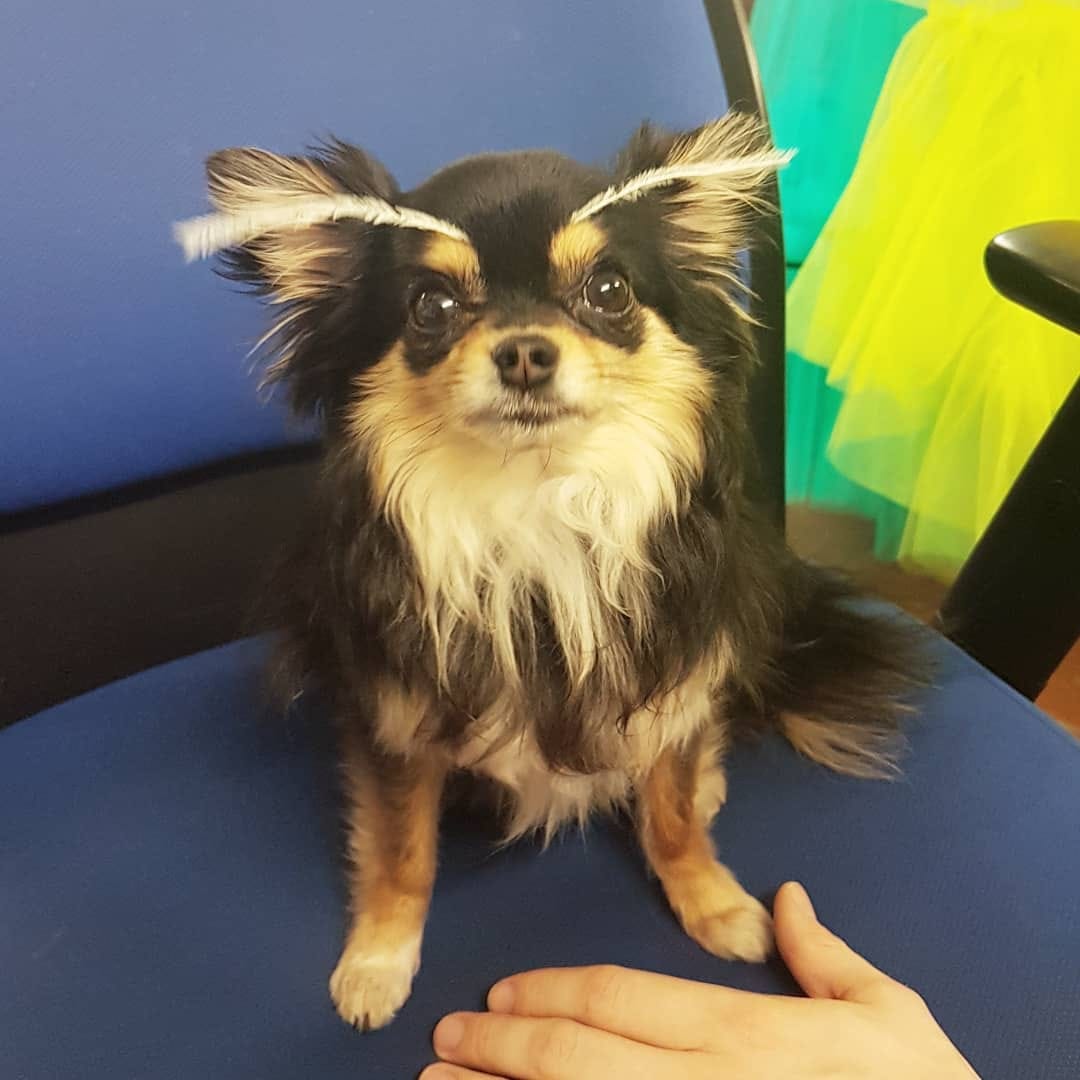 Post 3 by Stitch❤Finn on Instagram (image)