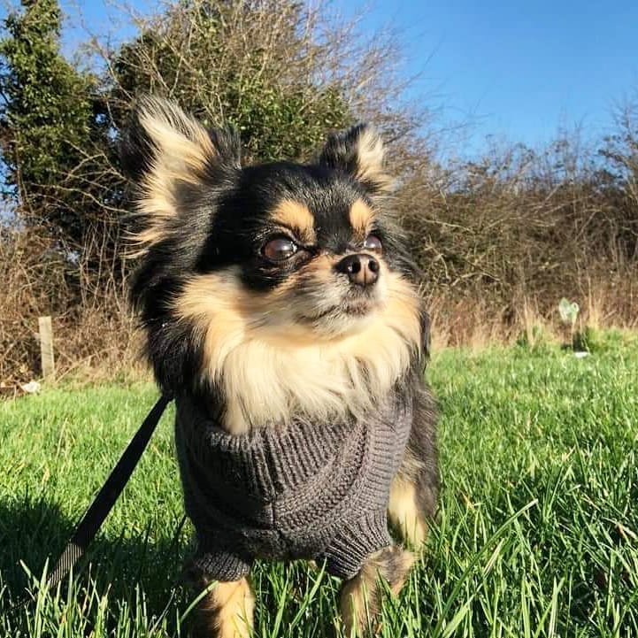 Post 6 by Stitch❤Finn on Instagram (image)