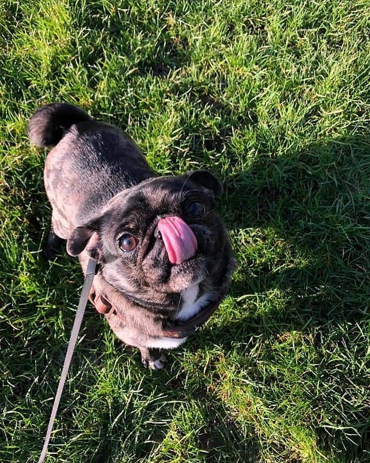 Post 4 by Stitch❤Finn on Instagram (image)