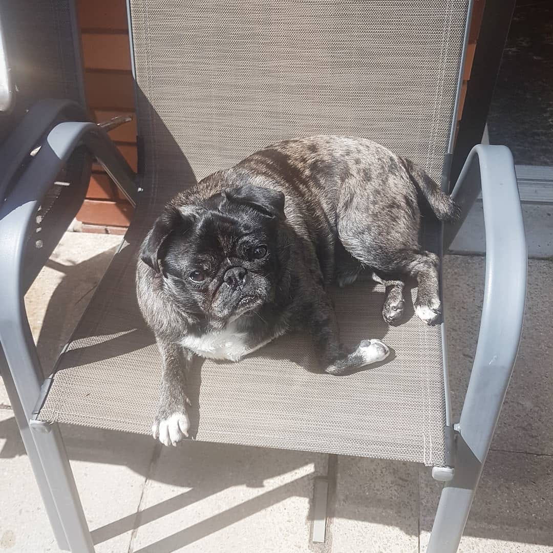 Post 2 by Stitch❤Finn on Instagram (image)