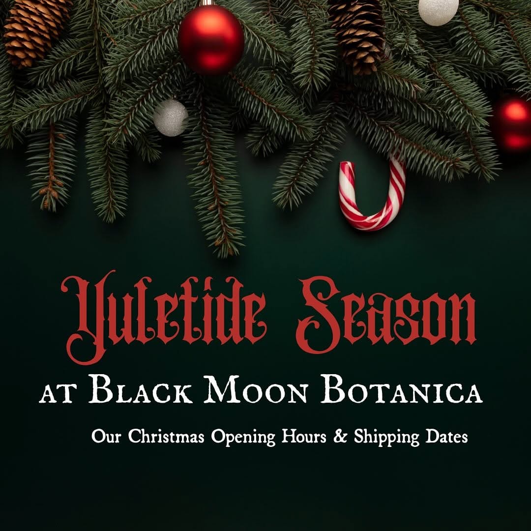 Post 2 by Black Moon Botanica on Instagram (carousel)