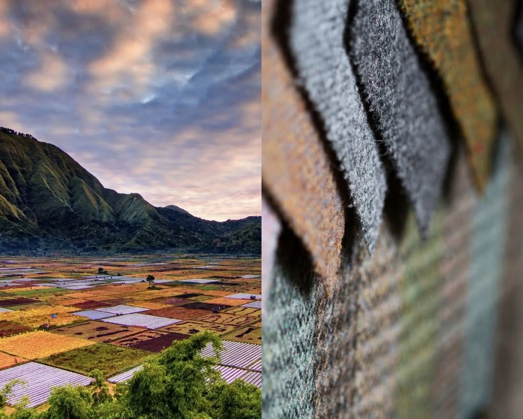 Post 5 by Harris Tweed Hebrides on Instagram (carousel)