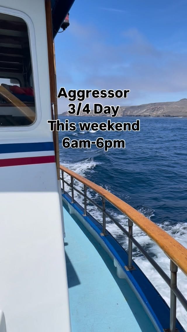 Post 5 by Newport Landing Sportfishing | Newport Beach Fishing on Instagram (video)