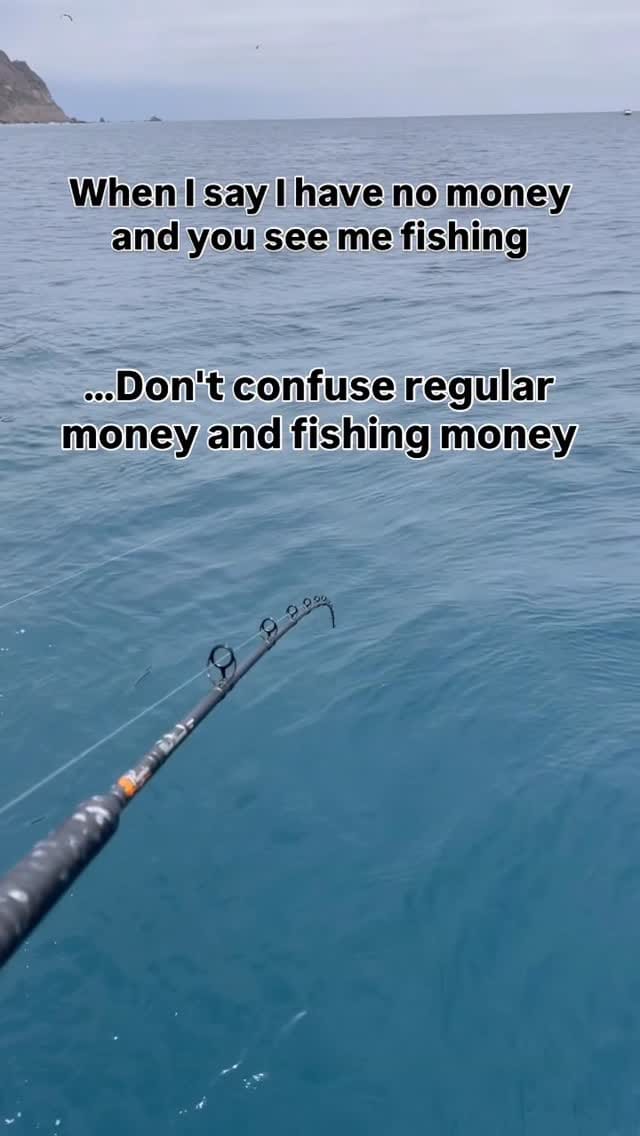 Post 7 by Newport Landing Sportfishing | Newport Beach Fishing on Instagram (video)