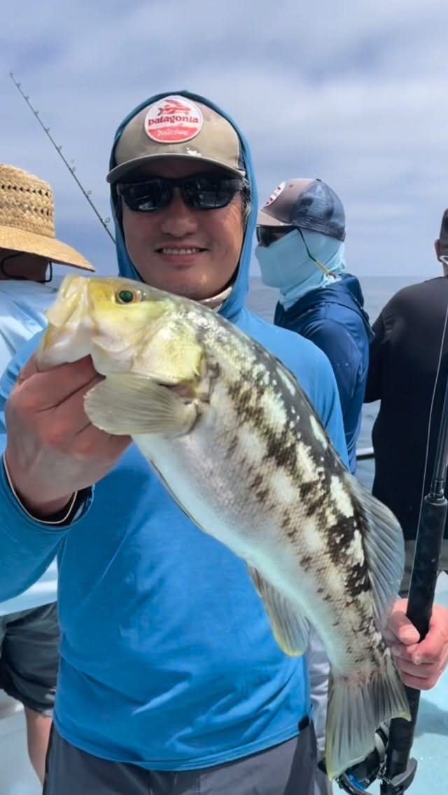 Post 6 by Newport Landing Sportfishing | Newport Beach Fishing on Instagram (video)