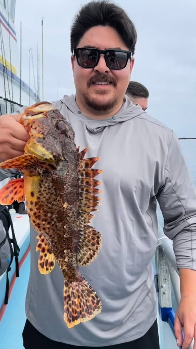 Post 9 by Newport Landing Sportfishing | Newport Beach Fishing on Instagram (video)