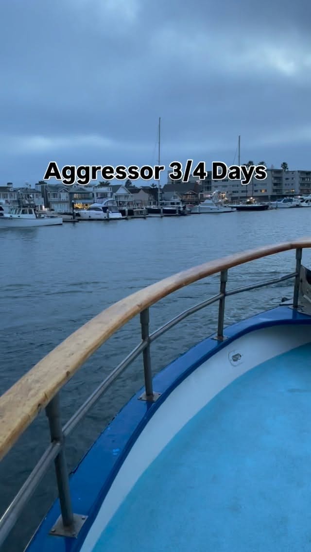 Post 2 by Newport Landing Sportfishing | Newport Beach Fishing on Instagram (video)