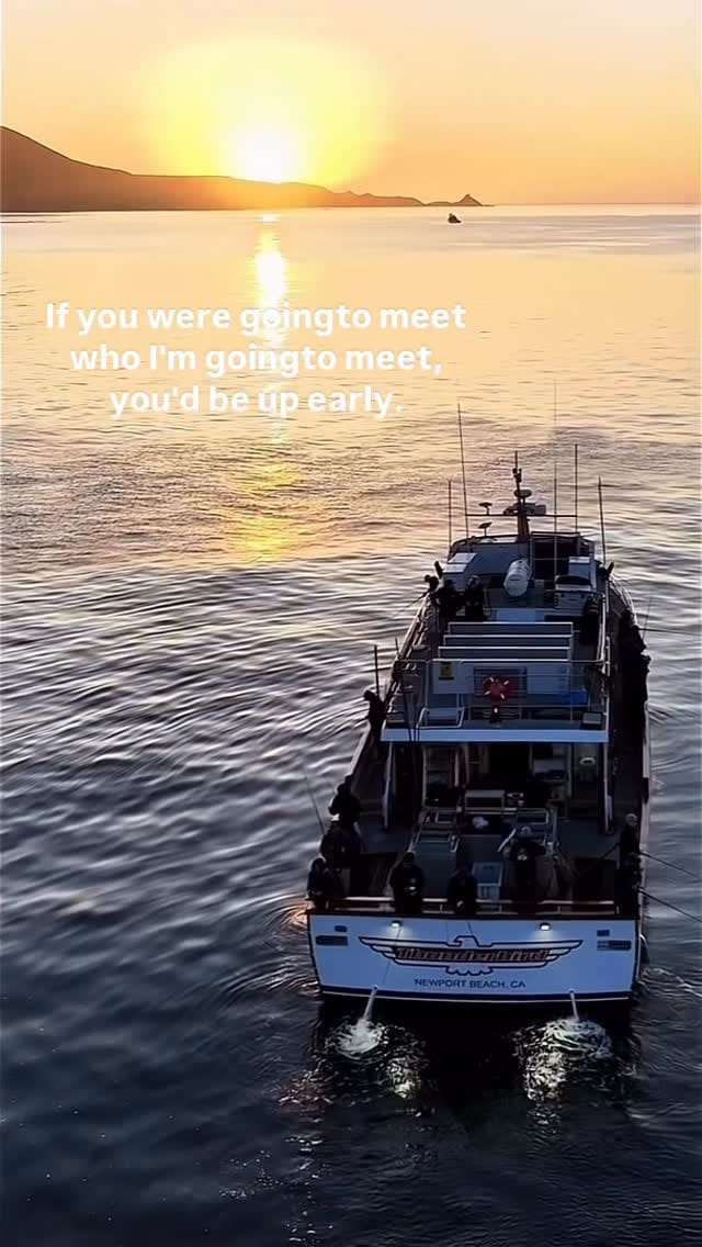 Post 8 by Newport Landing Sportfishing | Newport Beach Fishing on Instagram (video)