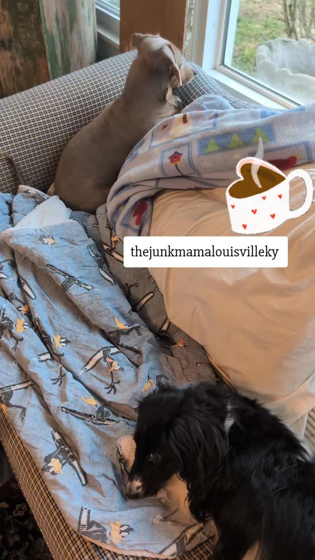 Post 6 by thejunkmama on Instagram (video)