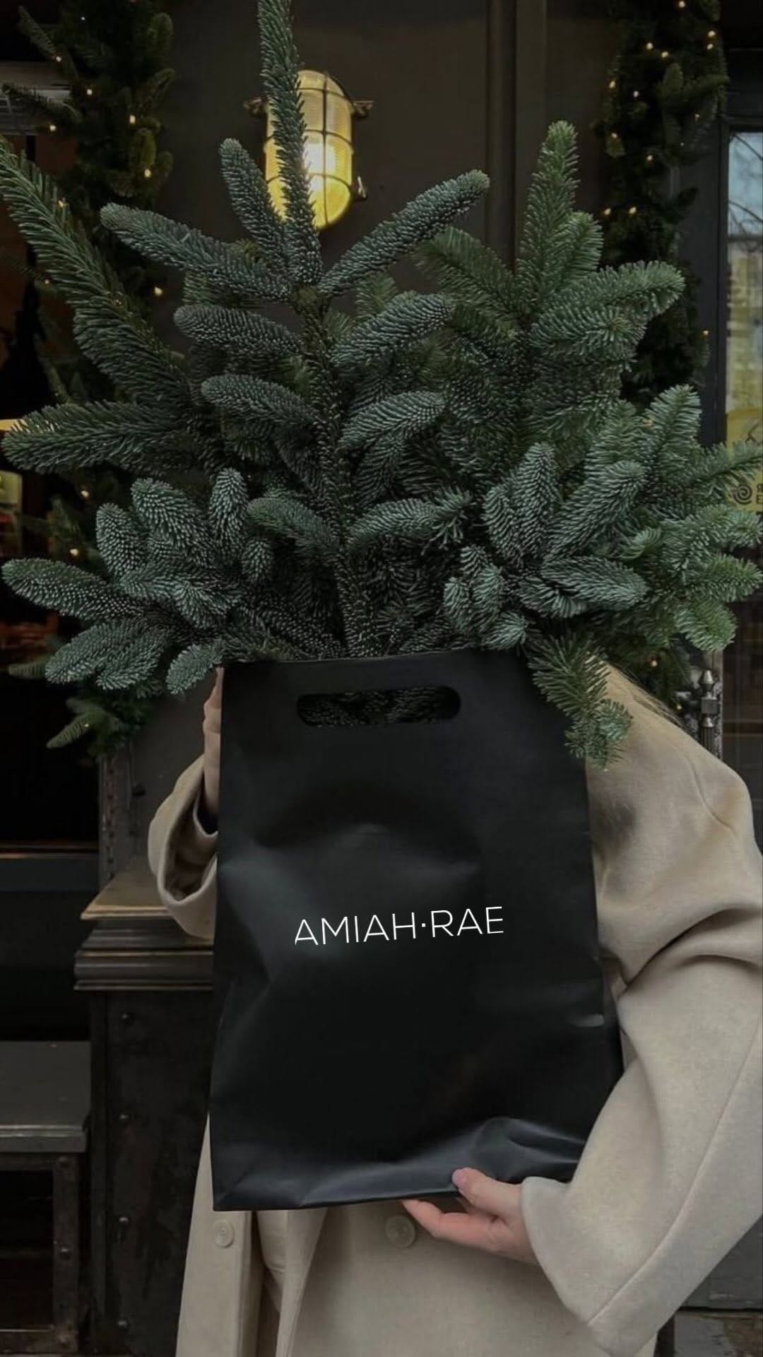 Post 7 by AMIAH-RAE on Instagram (video)