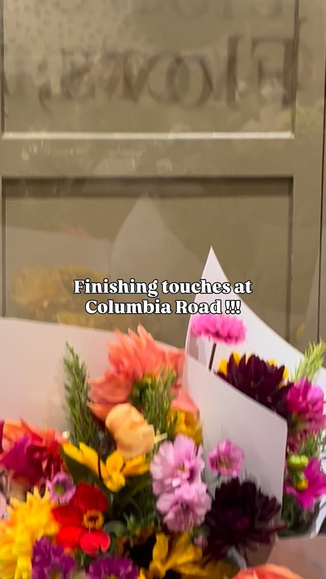 Post 3 by Alice on Instagram (video)
