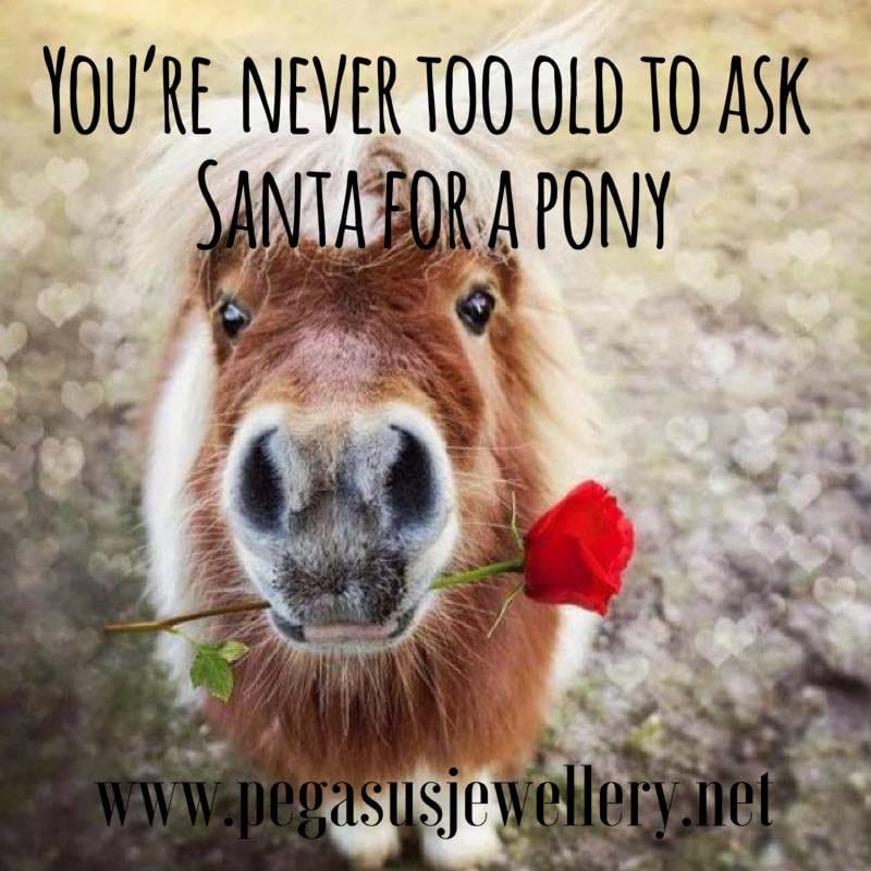 Post 8 by Pegasus Jewellery on Instagram (image)