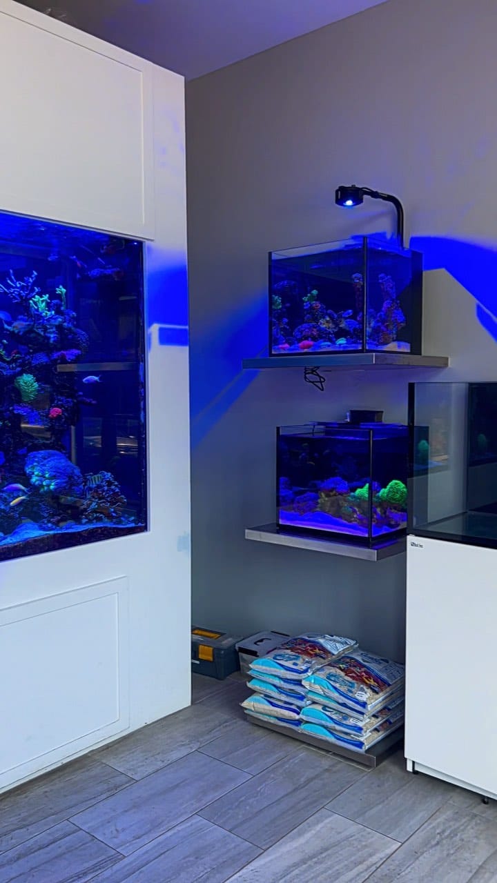Post 8 by House of Fins on Instagram (video)
