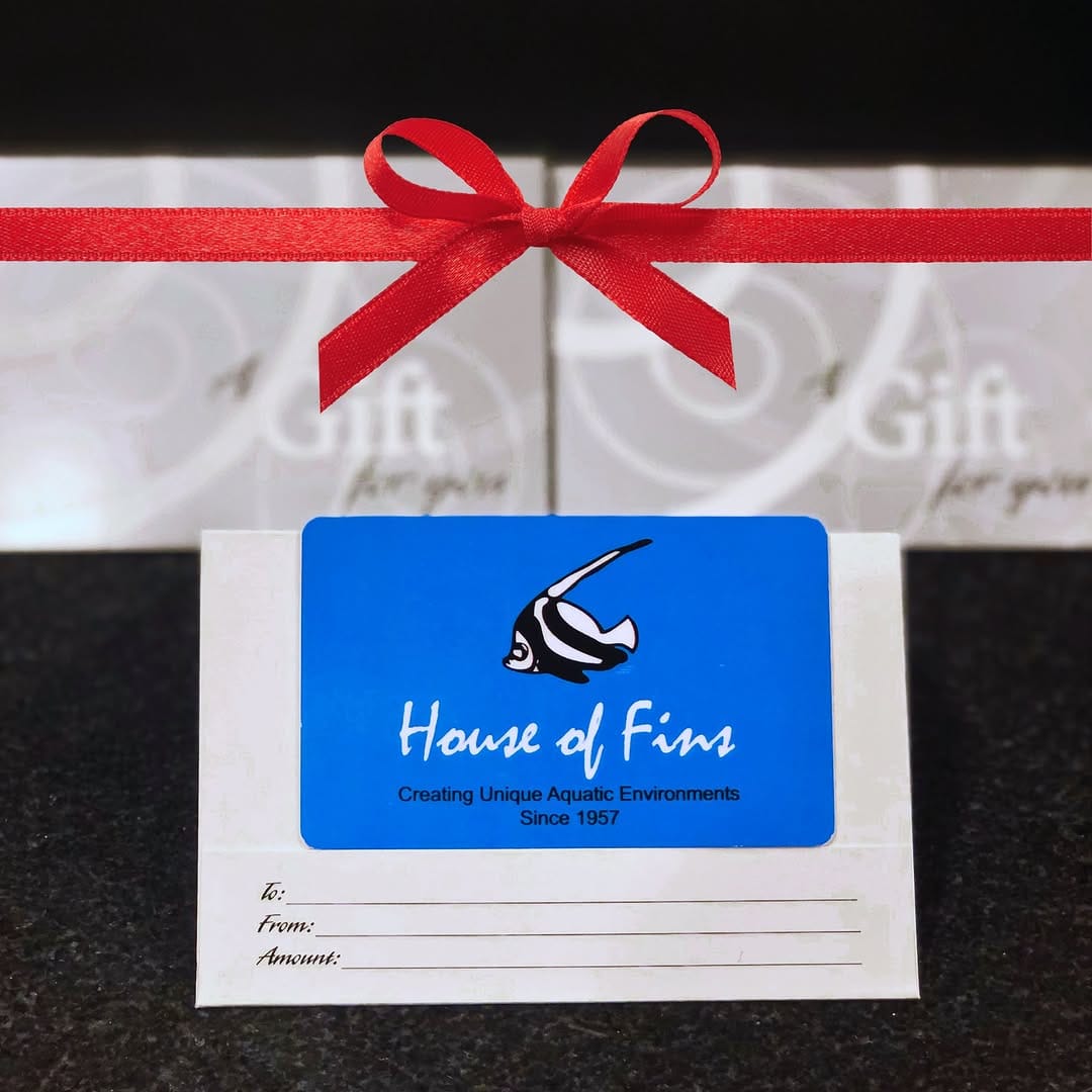 Post 5 by House of Fins on Instagram (image)