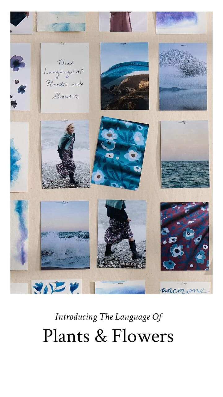 Post 10 by Seasalt Cornwall on Instagram (video)