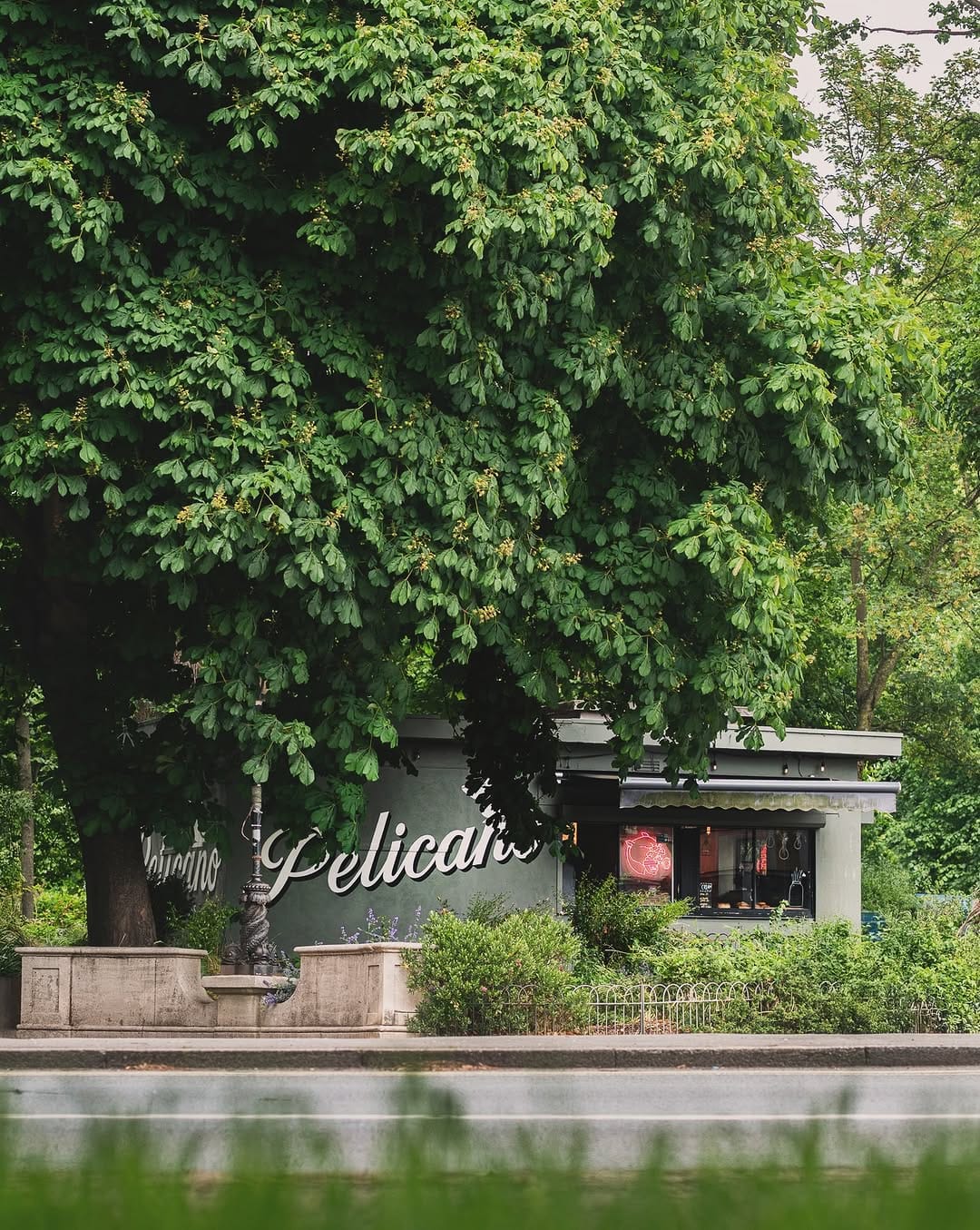 Post 5 by Pelicano Coffee Pioneers on Instagram (image)