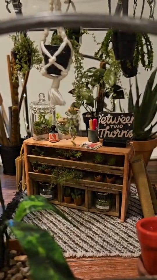 Post 1 by Between Two Thorns on Instagram (video)