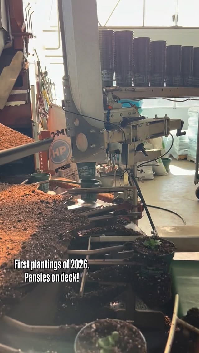 Post 1 by Sam Bridge Nursery & Greenhouses on Instagram (video)