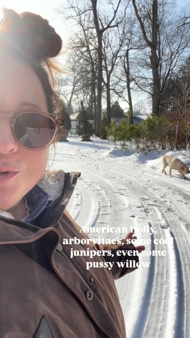 Post 2 by Sam Bridge Nursery & Greenhouses on Instagram (video)