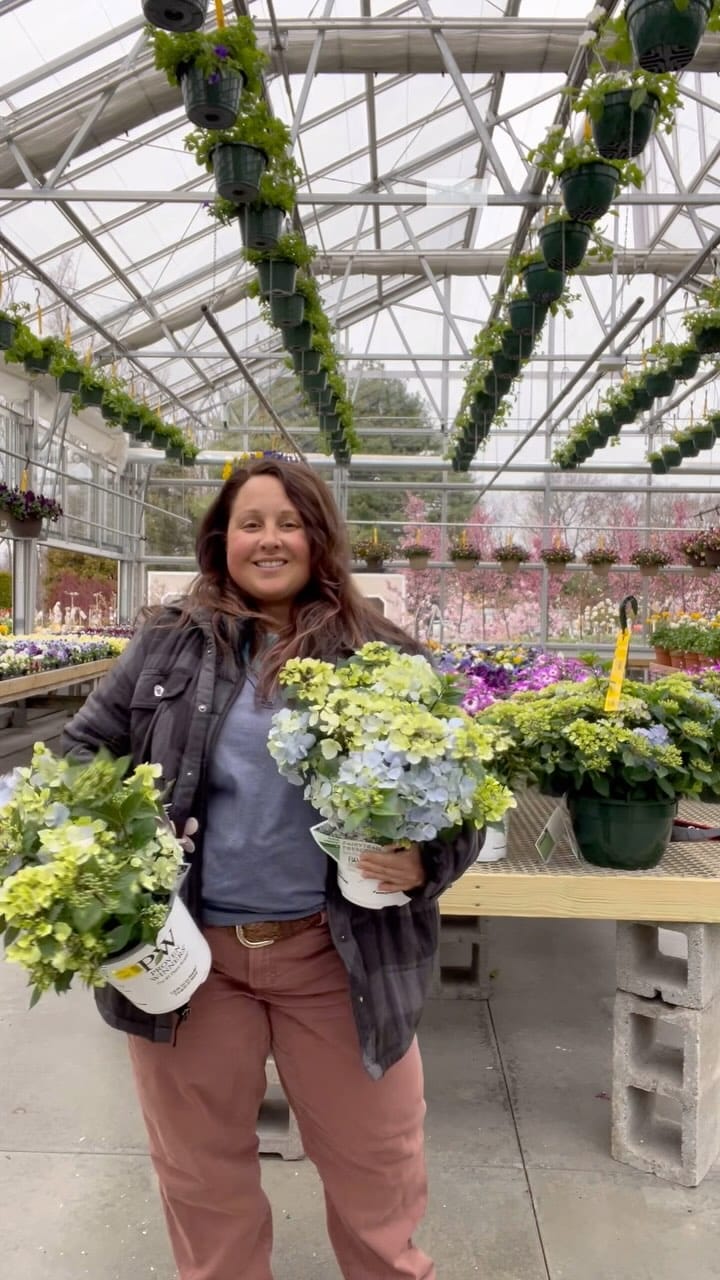 Post 9 by Sam Bridge Nursery & Greenhouses on Instagram (video)