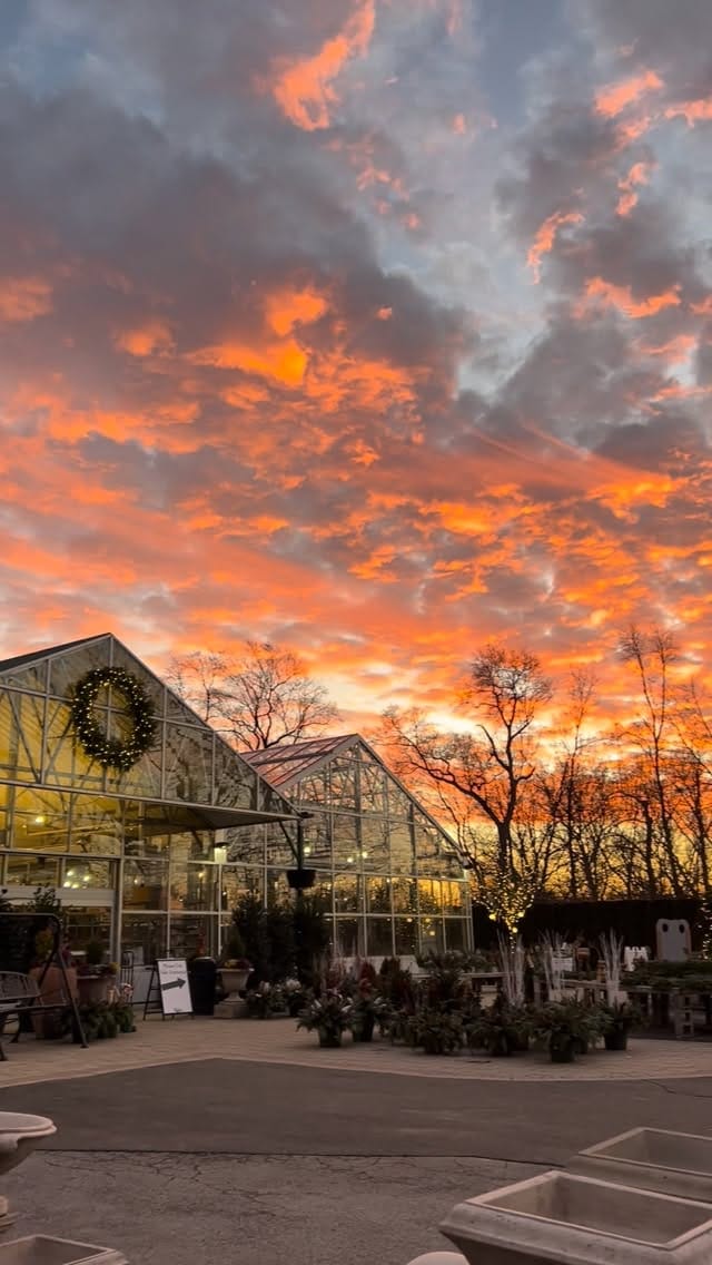 Post 7 by Sam Bridge Nursery & Greenhouses on Instagram (video)