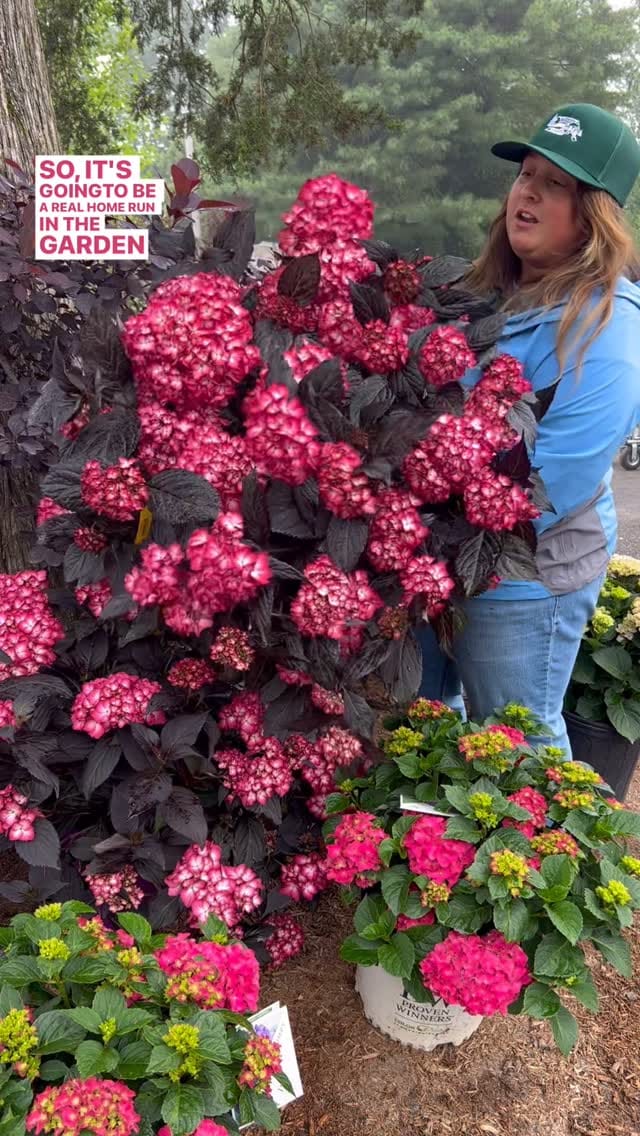 Post 8 by Sam Bridge Nursery & Greenhouses on Instagram (video)