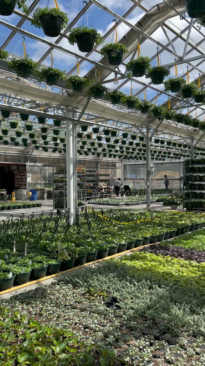 Post 10 by Sam Bridge Nursery & Greenhouses on Instagram (video)