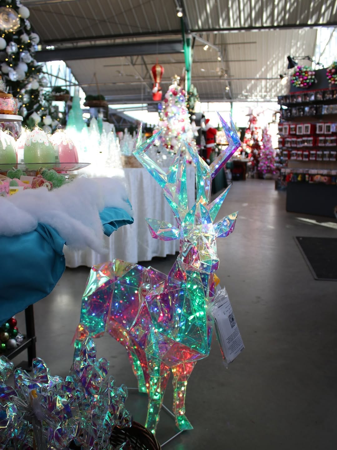 Post 3 by Sam Bridge Nursery & Greenhouses on Instagram (carousel)