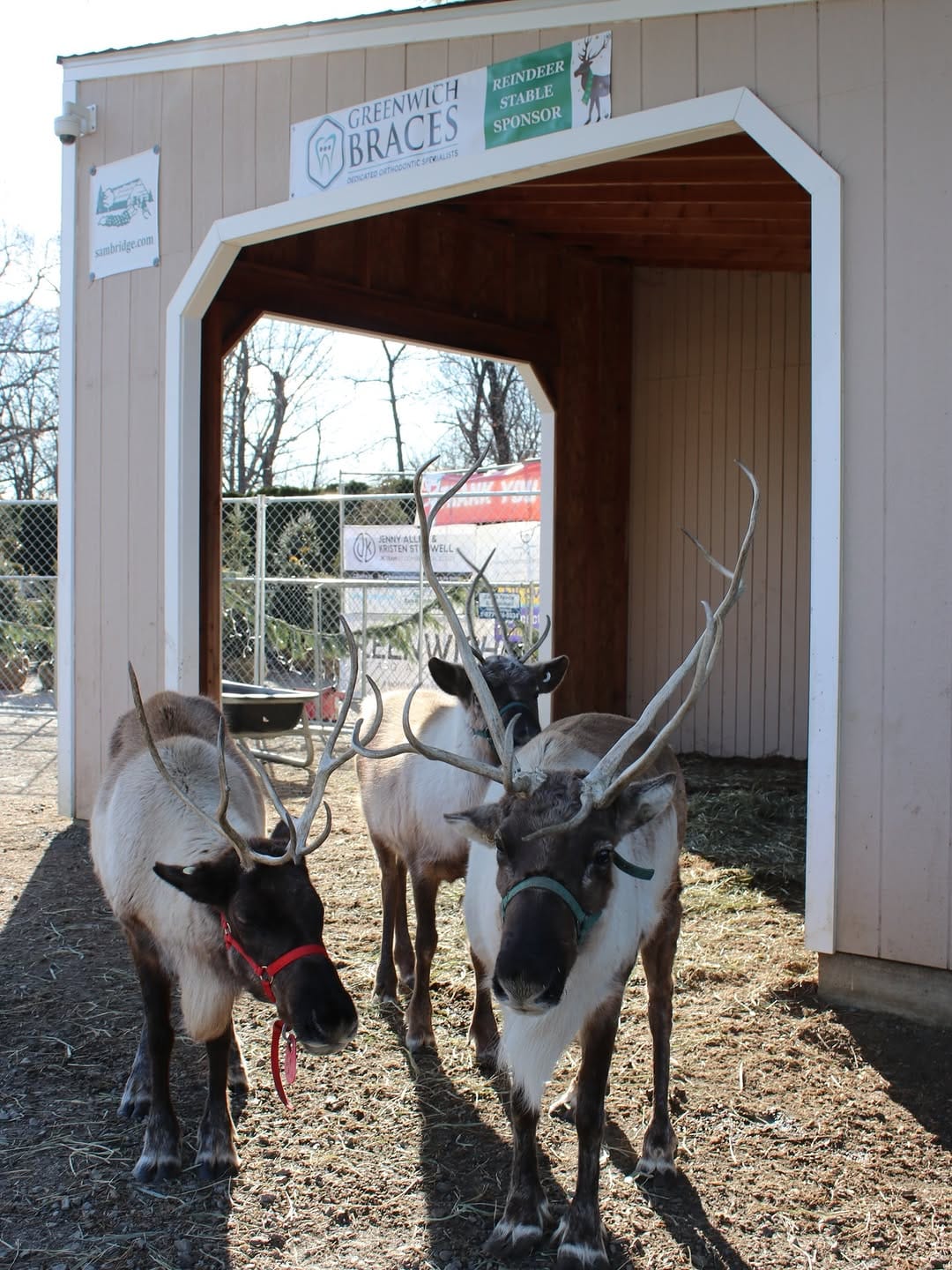Post 6 by Sam Bridge Nursery & Greenhouses on Instagram (carousel)