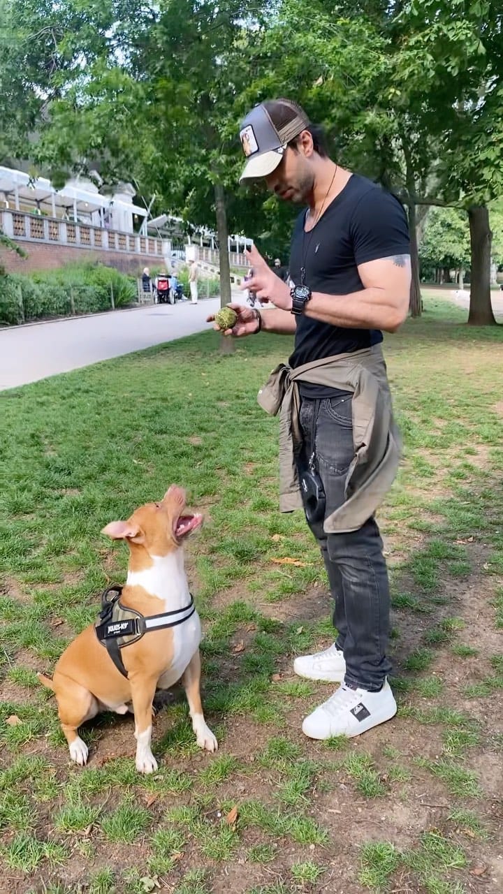 Post 10 by Mehdi Zati on Instagram (video)