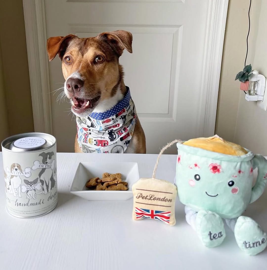 Post 4 by PetLondon on Instagram (image)