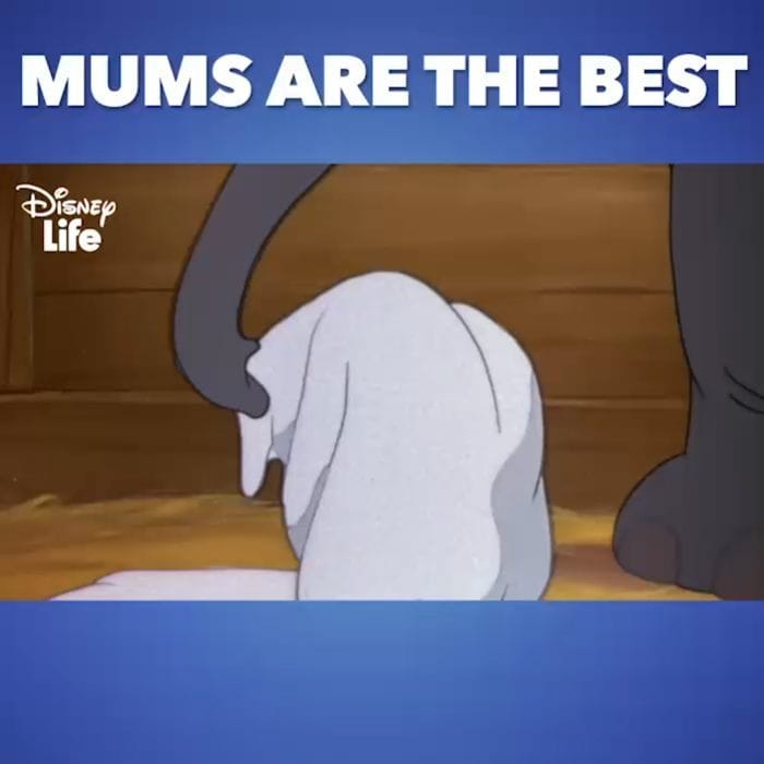 Post 4 by DisneyLife on Instagram (video)