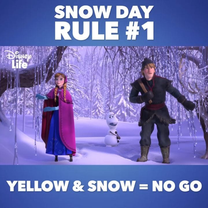 Post 6 by DisneyLife on Instagram (video)