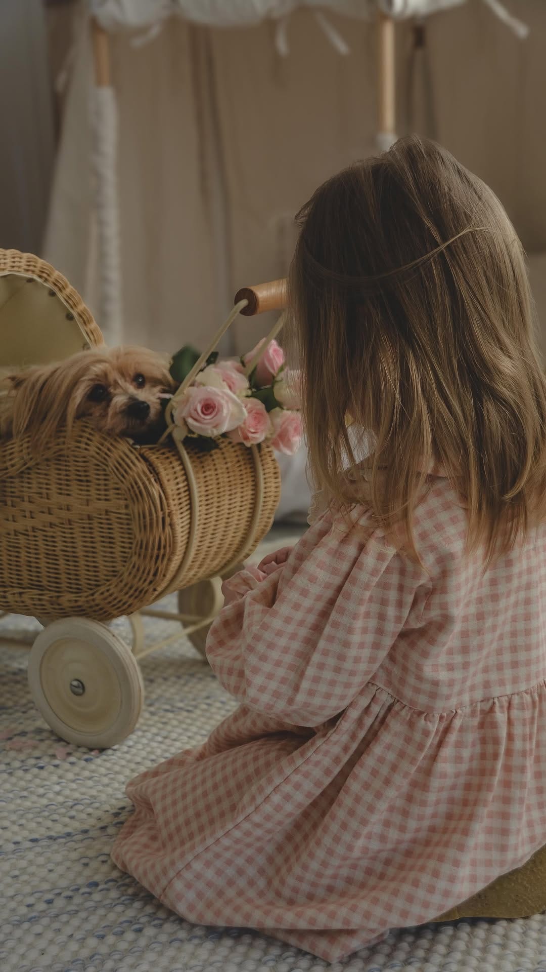 Post 7 by Greenberry Kids on Instagram (video)