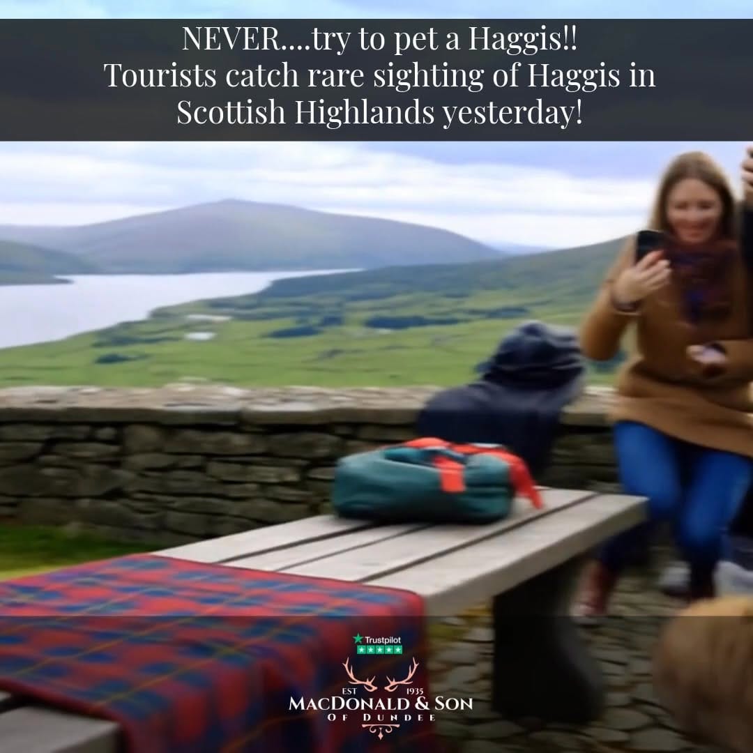 Post 3 by MacDonald and Son on Instagram (video)