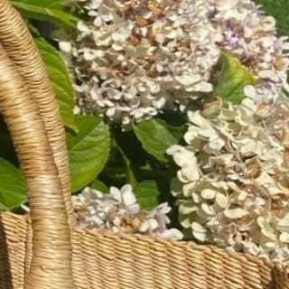 Post 9 by Eleanor.London on Instagram (image)